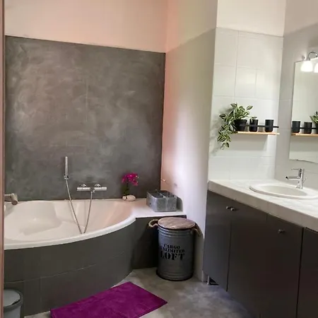 Holiday home A Porto-vecchio Avec Piscine Privee *